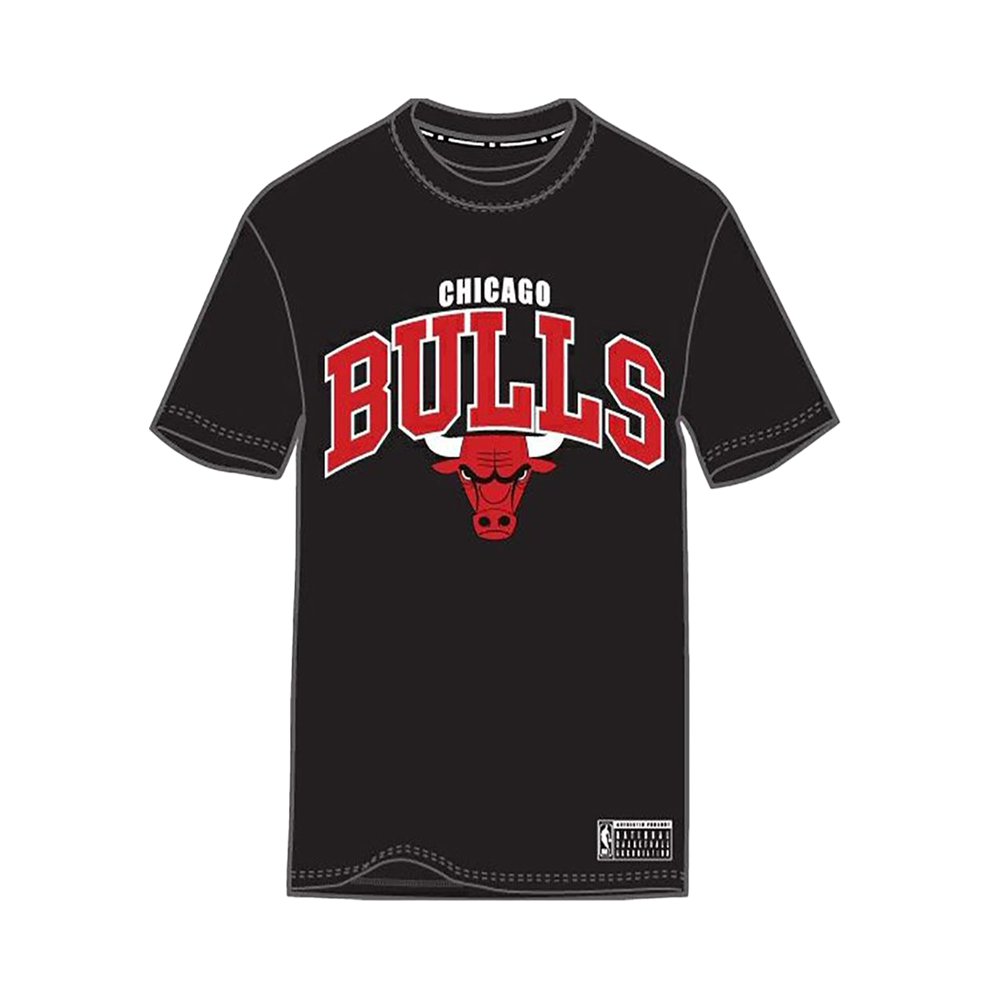 Chicago Bulls NBA Team Arch Tee