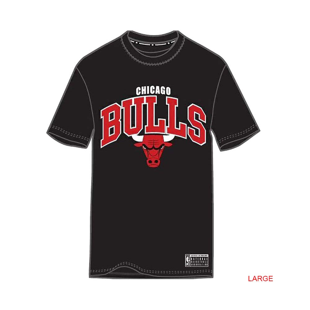 Chicago Bulls NBA Team Arch Tee