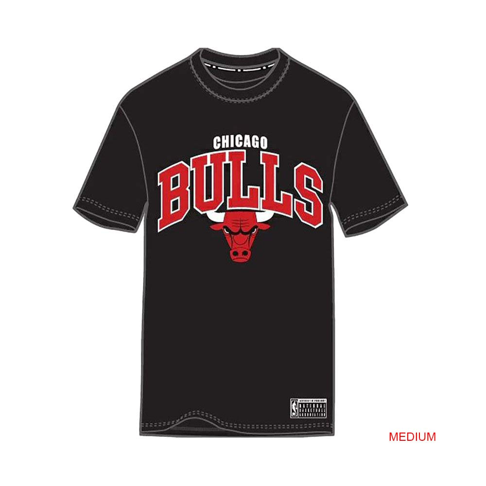 Chicago Bulls NBA Team Arch Tee