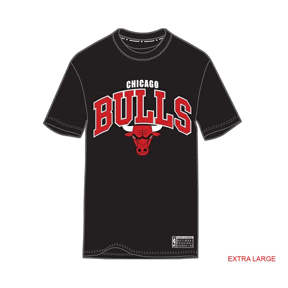 Chicago Bulls NBA Team Arch Tee