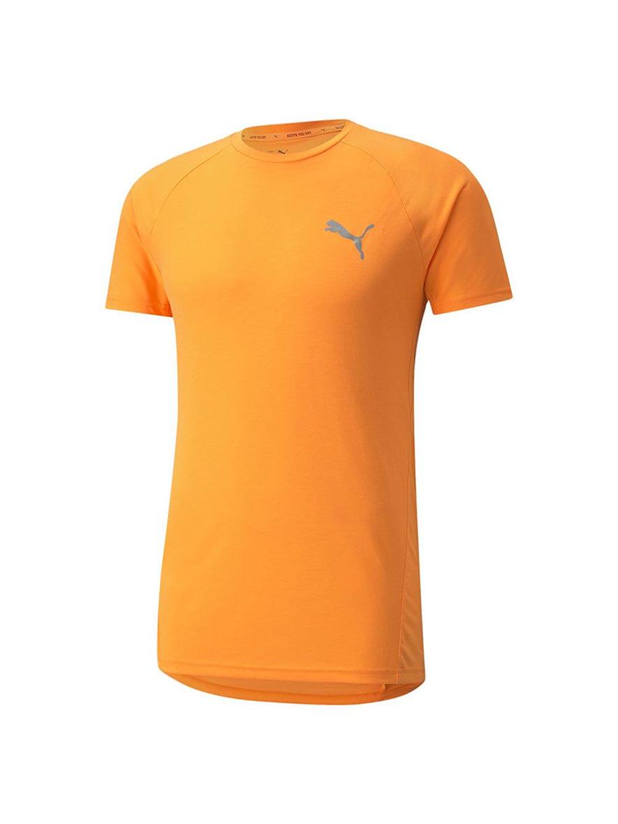 Puma Evostripe Tee Mens