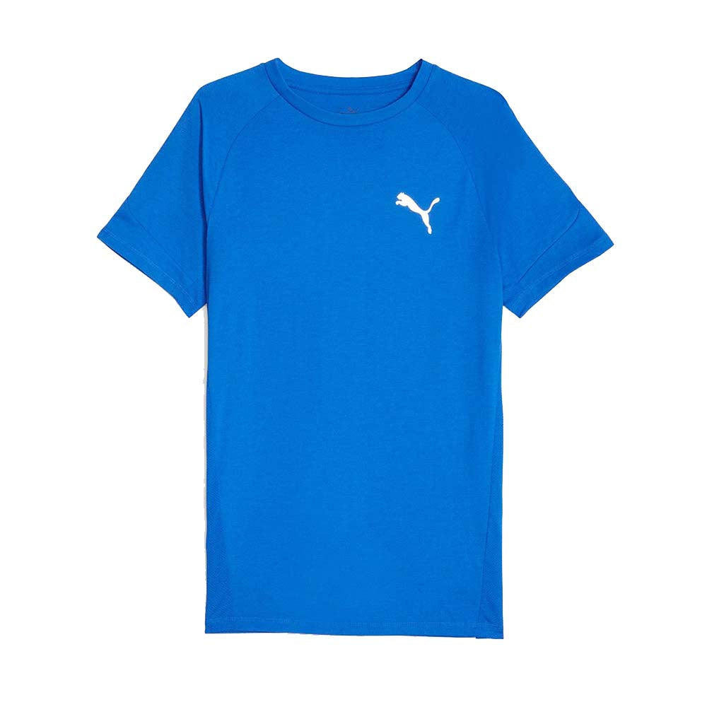 Puma Evostripe Tee Mens